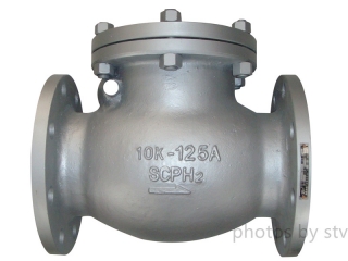 SCPH2 Swing Check Valve, 10K, 125A,Flange End