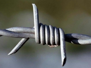 Barbed wire for security fencing