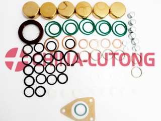 Repair Kits for Ve Pumps-Injection Pump Rebuild Kit