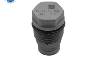 EUP pump control valve 1 110 010 022 Common Rail Pressure Release Valve