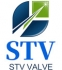 STV Valve Technology Group Co.,Ltd